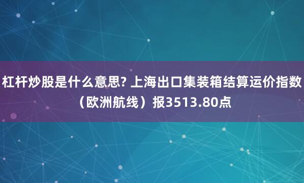 杠杆炒股是什么意思? 上海出口集装箱结算运价指数（欧洲航线）报3513.80点