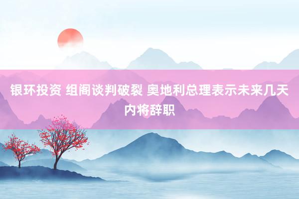 银环投资 组阁谈判破裂 奥地利总理表示未来几天内将辞职