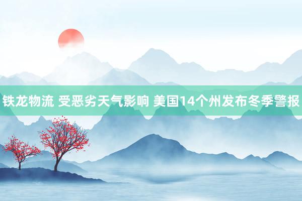 铁龙物流 受恶劣天气影响 美国14个州发布冬季警报