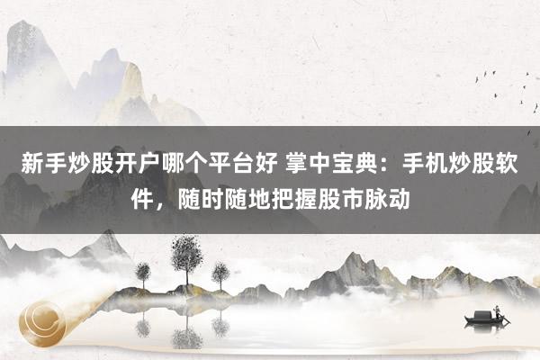 新手炒股开户哪个平台好 掌中宝典：手机炒股软件，随时随地把握股市脉动