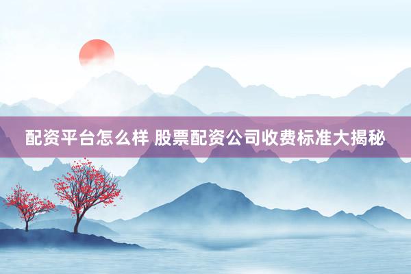 配资平台怎么样 股票配资公司收费标准大揭秘