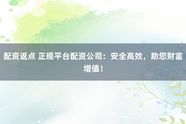 配资返点 正规平台配资公司：安全高效，助您财富增值！