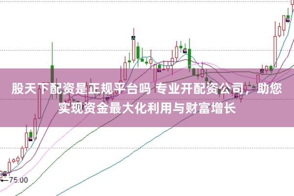 股天下配资是正规平台吗 专业开配资公司，助您实现资金最大化利用与财富增长