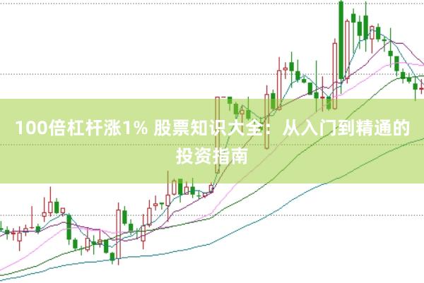 100倍杠杆涨1% 股票知识大全：从入门到精通的投资指南