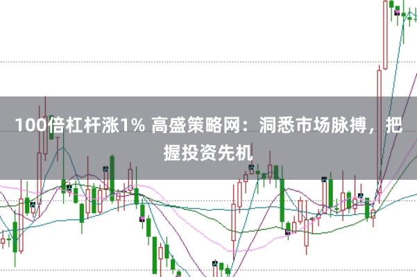 100倍杠杆涨1% 高盛策略网：洞悉市场脉搏，把握投资先机