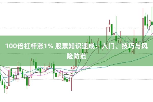100倍杠杆涨1% 股票知识速成：入门、技巧与风险防范