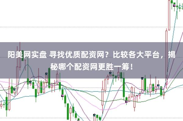 阳美网实盘 寻找优质配资网？比较各大平台，揭秘哪个配资网更胜一筹！