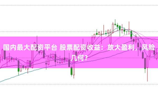国内最大配资平台 股票配资收益：放大盈利，风险几何？