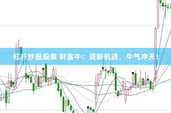 杠杆炒股股票 财富牛：资新机遇，牛气冲天！