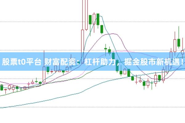 股票t0平台 财富配资：杠杆助力，掘金股市新机遇！
