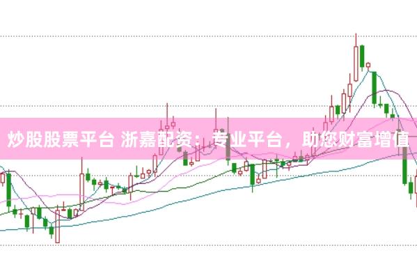 炒股股票平台 浙嘉配资：专业平台，助您财富增值