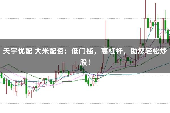 天宇优配 大米配资：低门槛，高杠杆，助您轻松炒股！