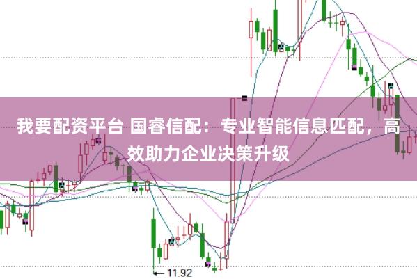 我要配资平台 国睿信配：专业智能信息匹配，高效助力企业决策升级