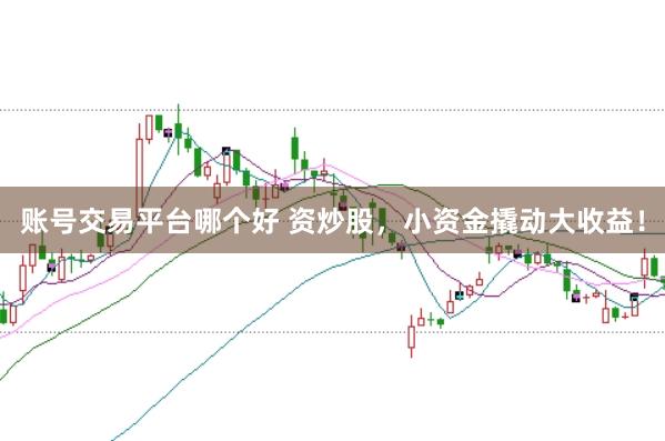 账号交易平台哪个好 资炒股，小资金撬动大收益！