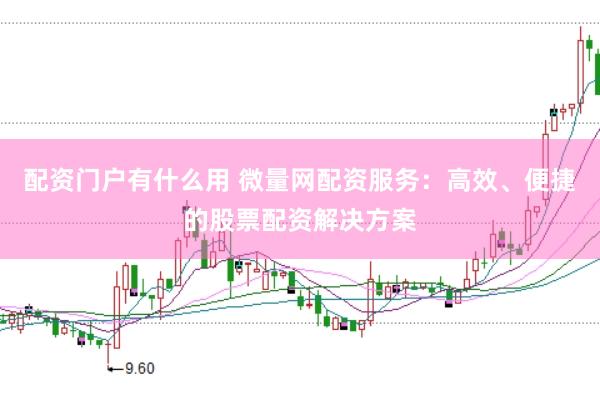配资门户有什么用 微量网配资服务：高效、便捷的股票配资解决方案