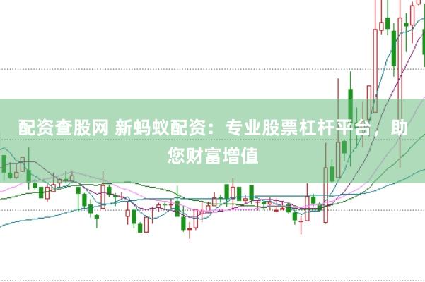 配资查股网 新蚂蚁配资：专业股票杠杆平台，助您财富增值