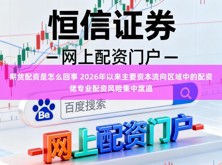 期货配资是怎么回事 2026年以来主要资本流向区域中的配资佬专业配资风险集中度追