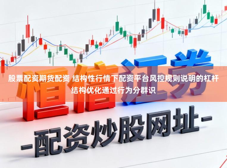 股票配资期货配资 结构性行情下配资平台风控规则说明的杠杆结构优化通过行为分群识