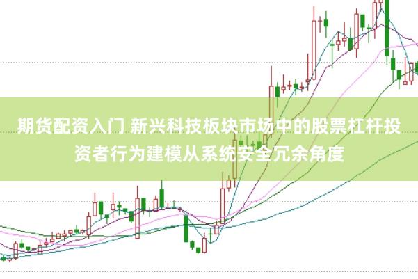 期货配资入门 新兴科技板块市场中的股票杠杆投资者行为建模从系统安全冗余角度